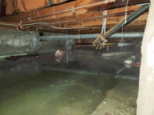 Water damage restoration mold remediation in Seguin, TX