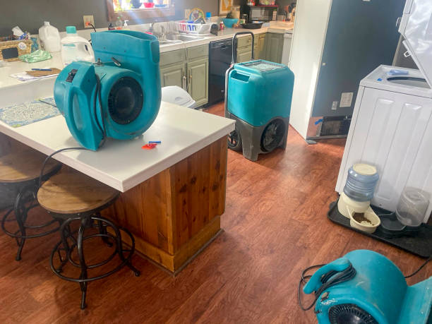 Best 24/7 water damage repair  in Seguin, TX