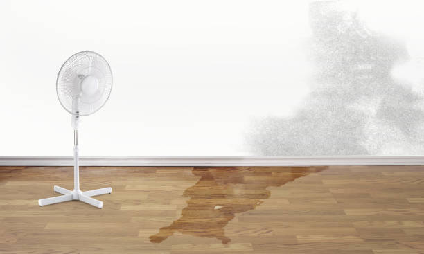 Water damage restoration insurance claims in Seguin, TX
