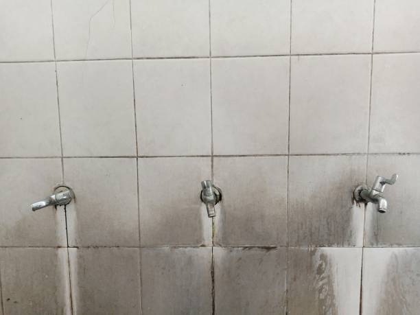 Water damage restoration insurance claims in Seguin, TX