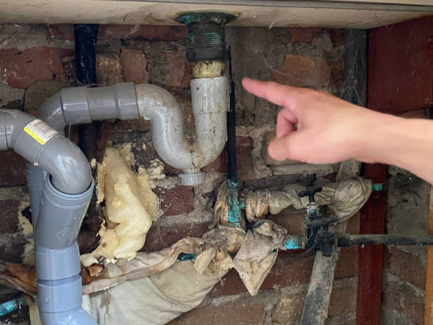 Best Ceiling water damage repair  in Seguin, TX